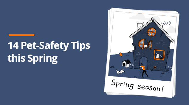 14 Pet-Safety Tips to Remember During Spring Season