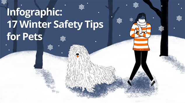 Infographic: Winter Safety Tips for Pets