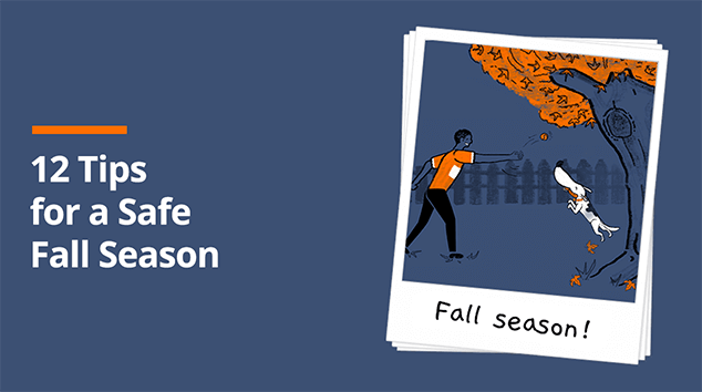 Tips for a Safe Fall Season