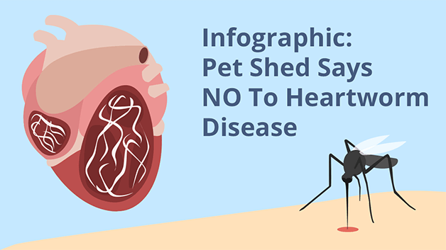 Infographic: Pet Shed Says NO To Heartworm Disease