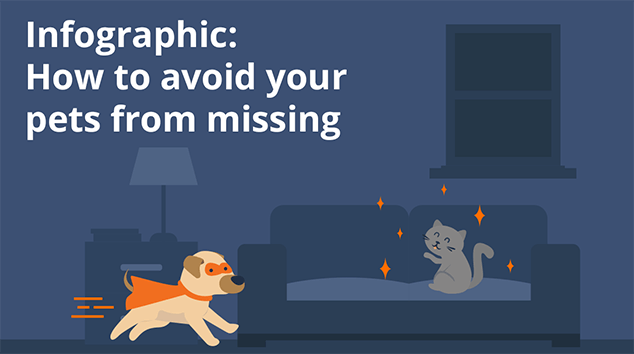 Infographic: How to avoid your pets from missing
