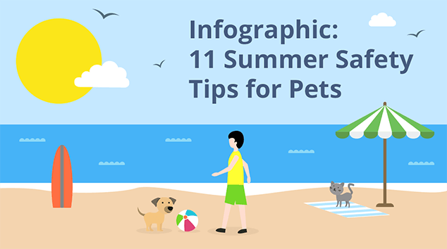 Infographic: 11 Summer Safety Tips for Pets